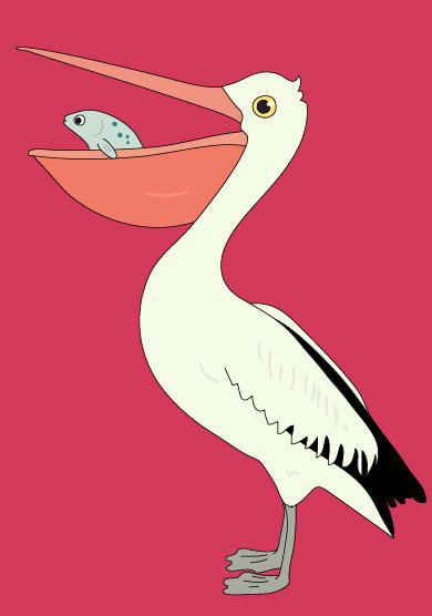 Pelican, Pelicant - Katherine Hardy ∆ Illustration